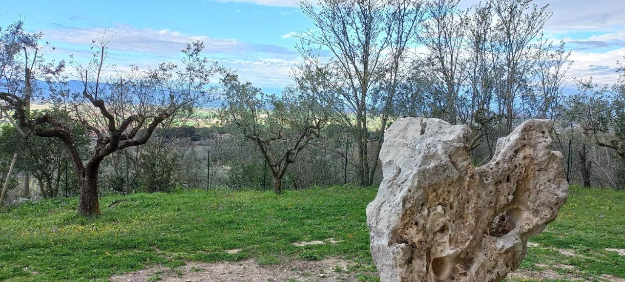 Domus Antiqua Bed & Breakfast Spello Exterior photo