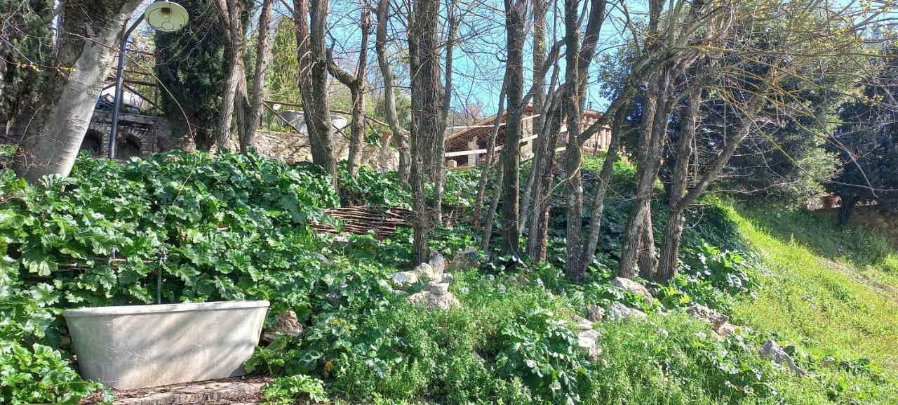 Domus Antiqua Bed & Breakfast Spello Exterior photo