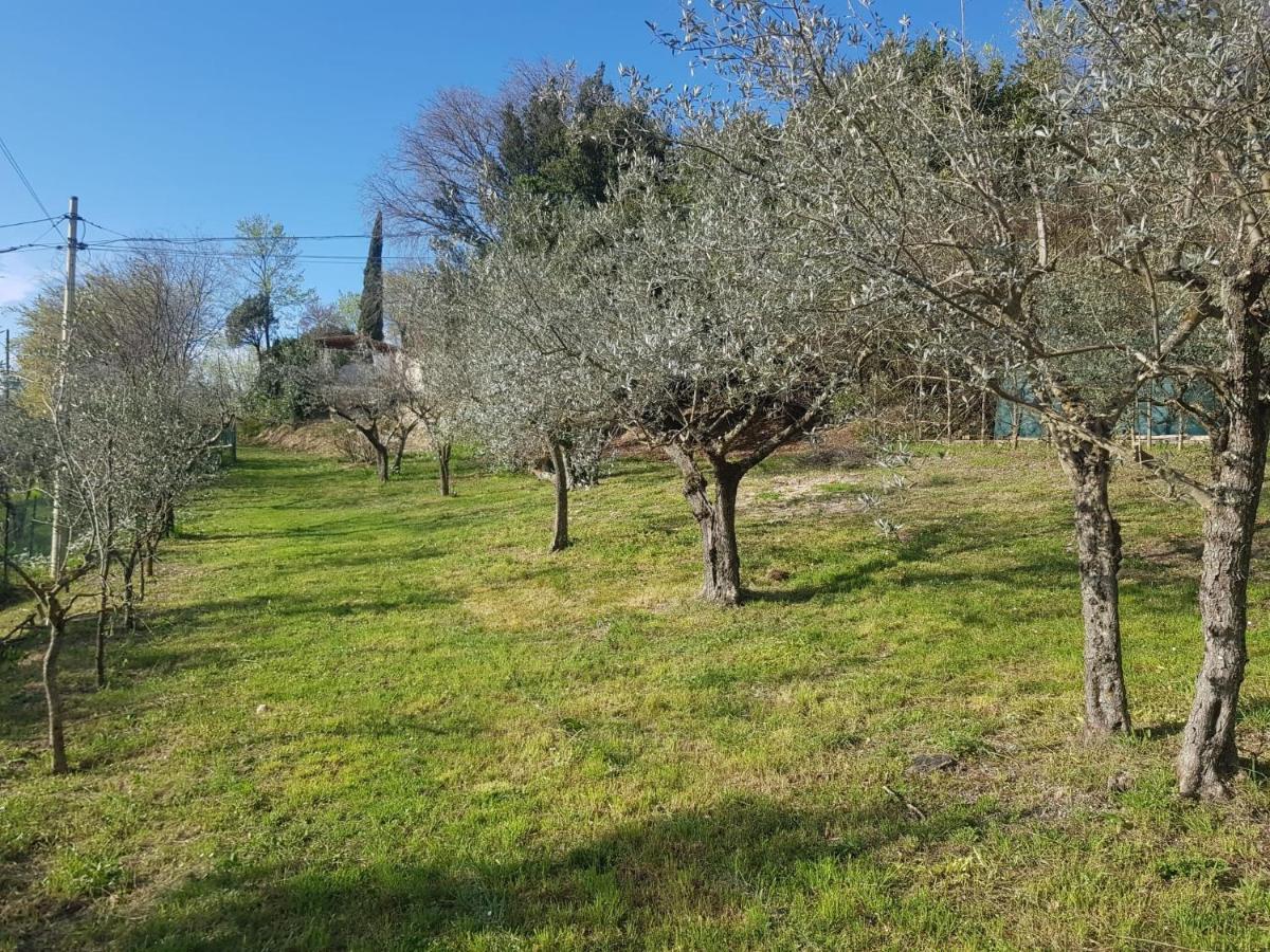 Domus Antiqua Bed & Breakfast Spello Exterior photo