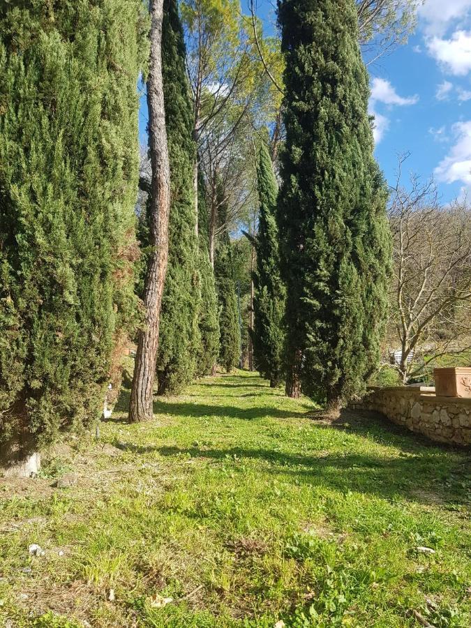 Domus Antiqua Bed & Breakfast Spello Exterior photo