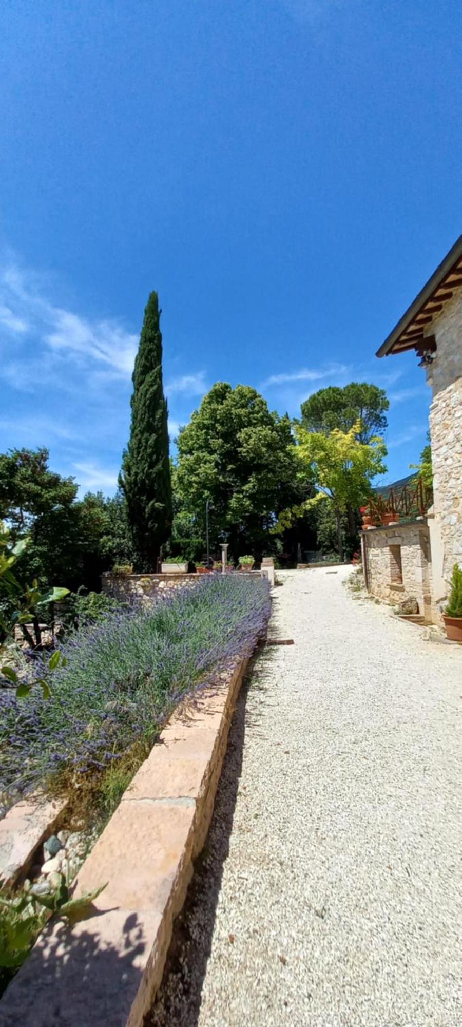Domus Antiqua Bed & Breakfast Spello Exterior photo