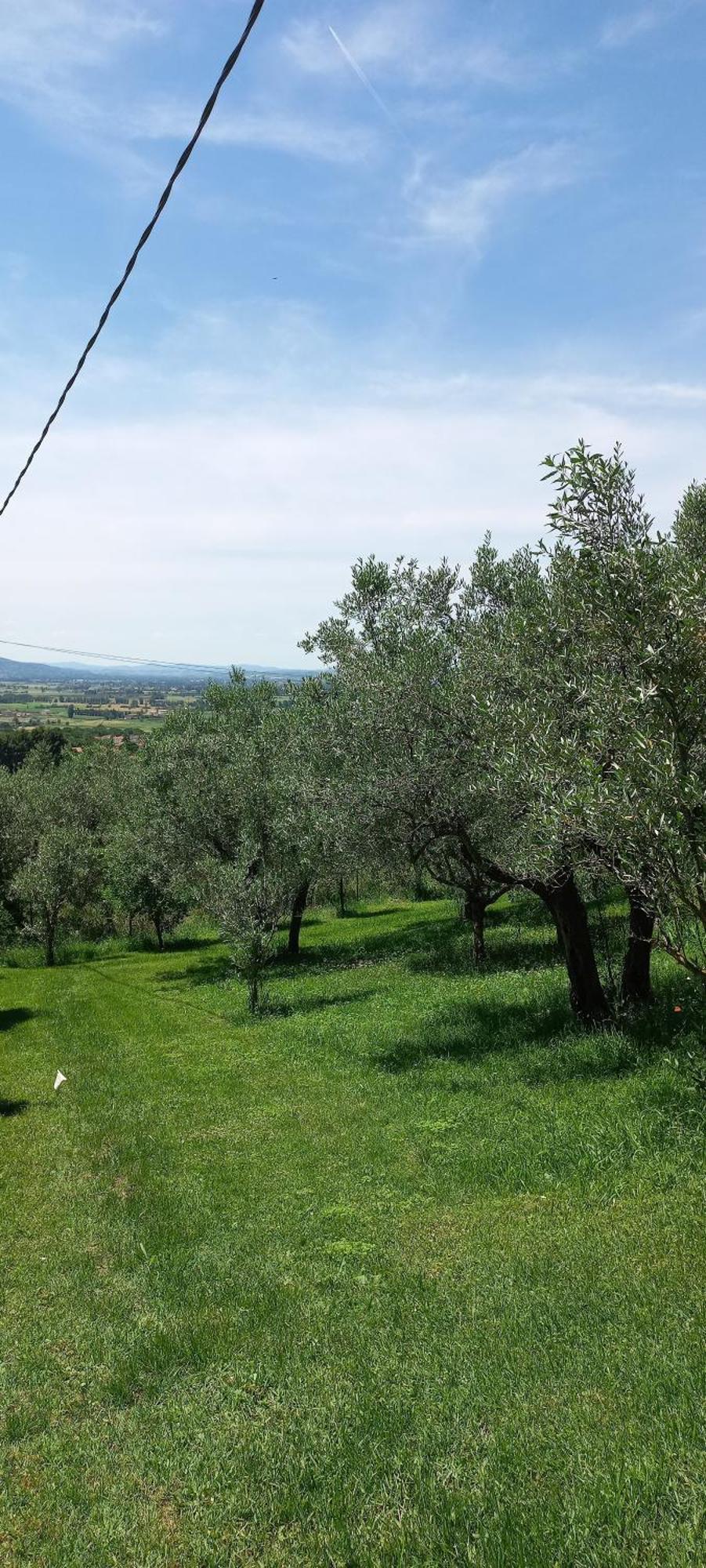 Domus Antiqua Bed & Breakfast Spello Exterior photo